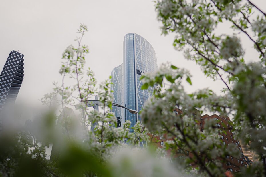 Scenic view of The Bow skyscraper in Calgary, Alberta, framed by vibrant flowers, highlighting the city's stunning architecture and natural beauty.
